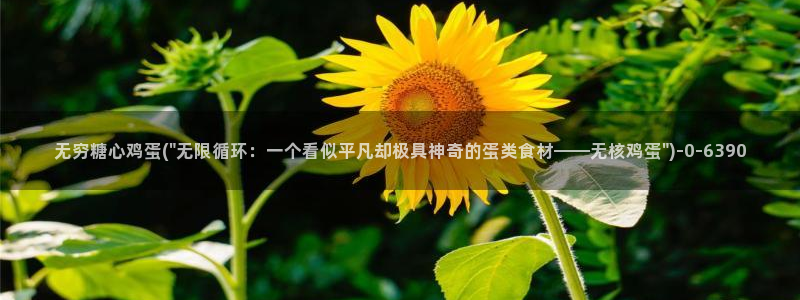 糖心vlog视频免费在线观看