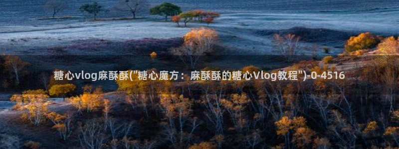 糖心vlog谁好看