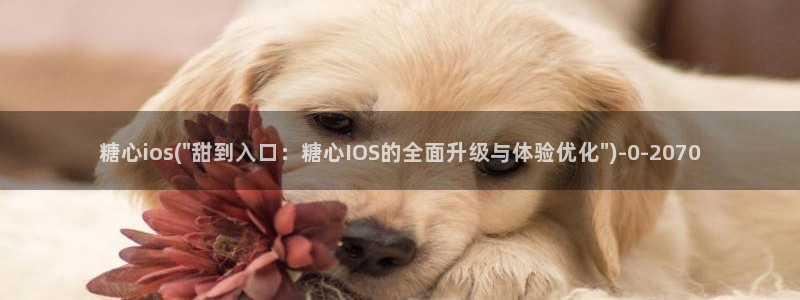 糖心vlog梦梦