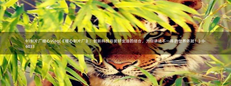 糖心vlog进入在线
