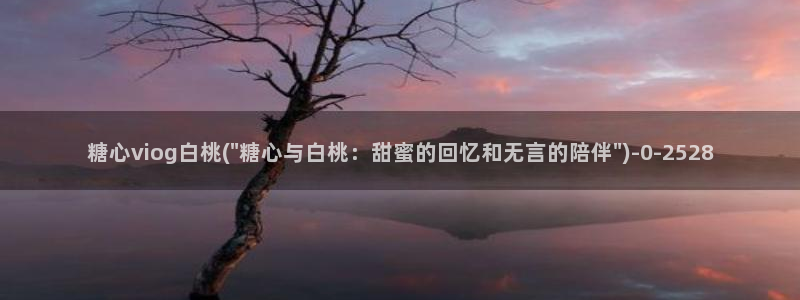 糖心vlog解锁版的功能介绍