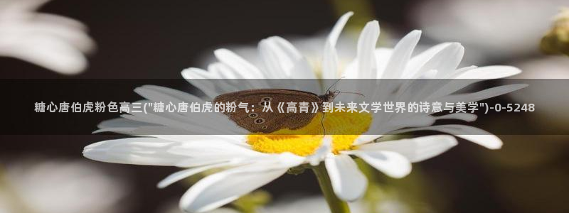 糖心,vlog