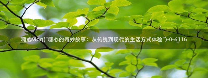 糖心视频vlog最新入口