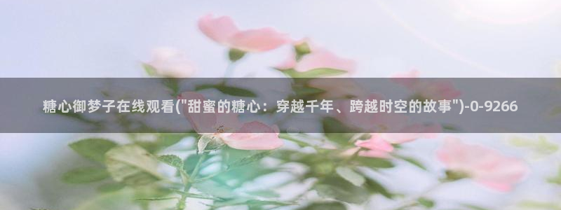 糖心vlog色破解版
