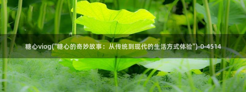 糖心vlog在线观看免费版
