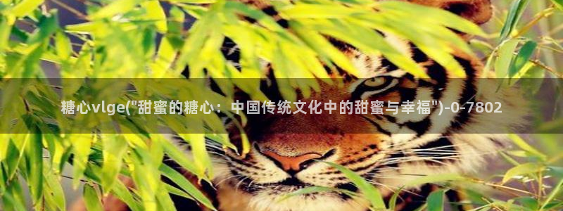 糖心vlog网站免费看