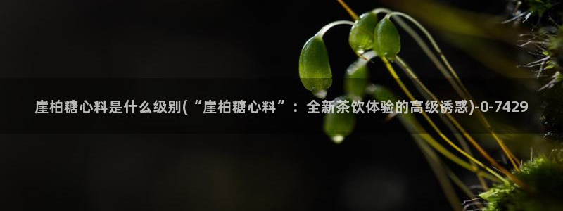 糖心vlog怎么免费观看