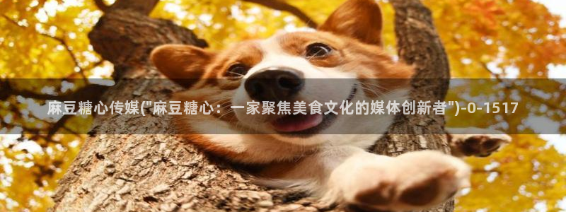 糖心vlog最新官网