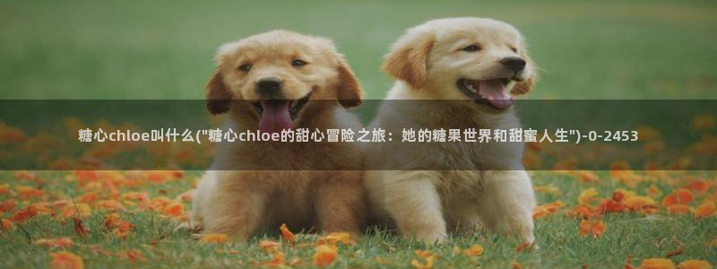 糖心vlog破解版下载www