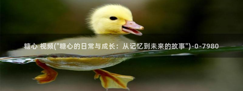 怎么看糖心vlog