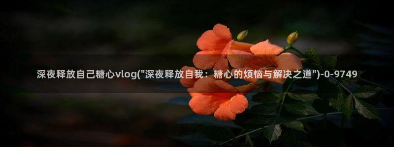 糖心vlog破解免费版
