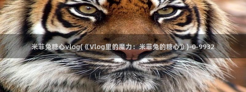 心糖vlog日常