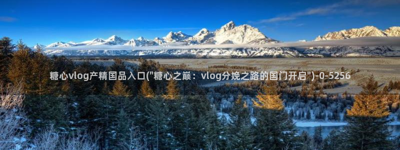糖心vlog一区