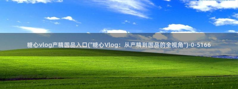 糖心vlog 菠萝啤
