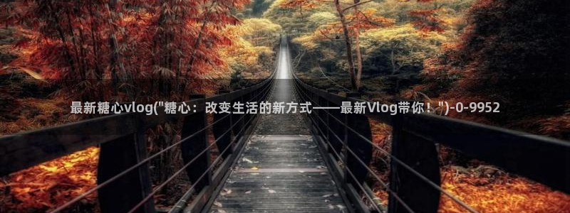糖心vlog号