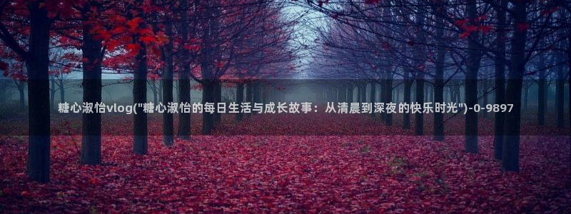 心糖vlog在线免费观看