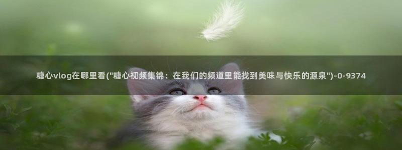 糖心vlog在线免费看